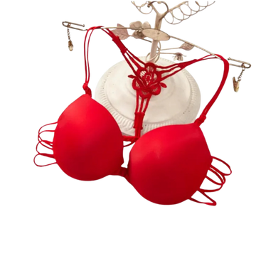 Crimson Smooth Bra – ZS WISHE